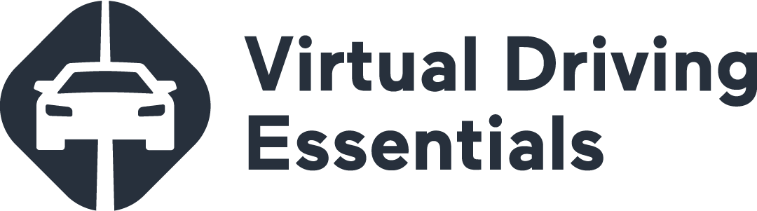Driving Essentials - Snow Rural Drive - Virtual Driver Interactive ...